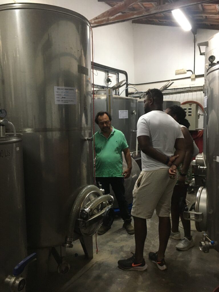 Visit to the winery in a private wine tour.