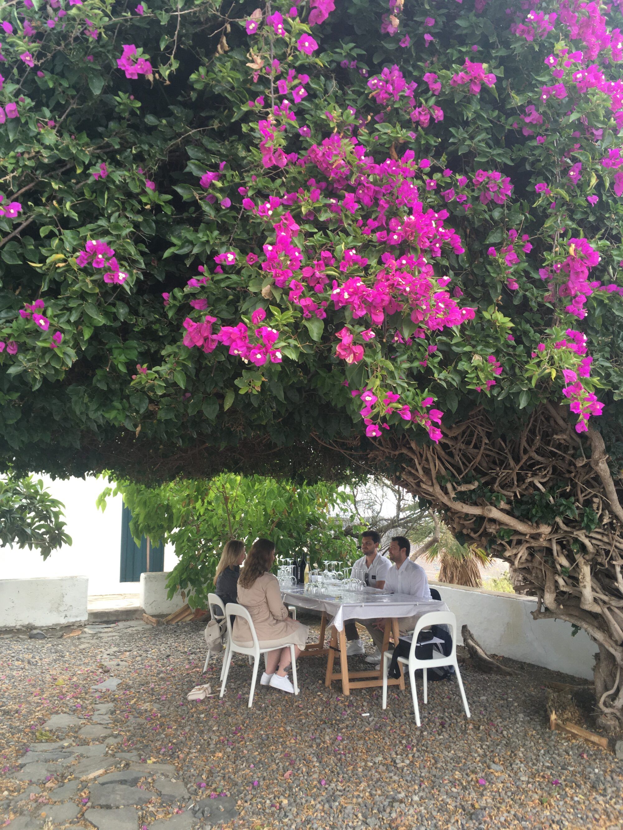 Private and exclusive wine tour