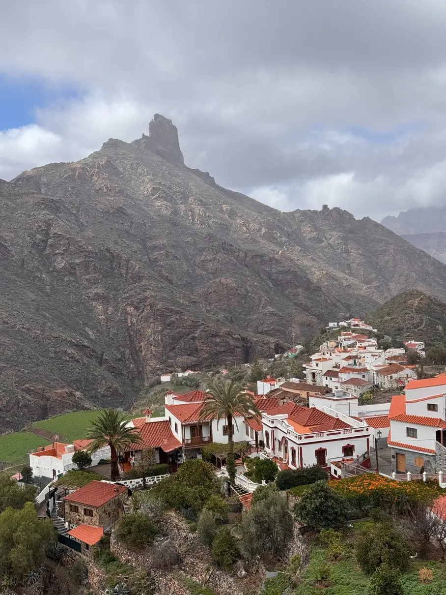 08_Corazon_de_Gran_Canaria_02